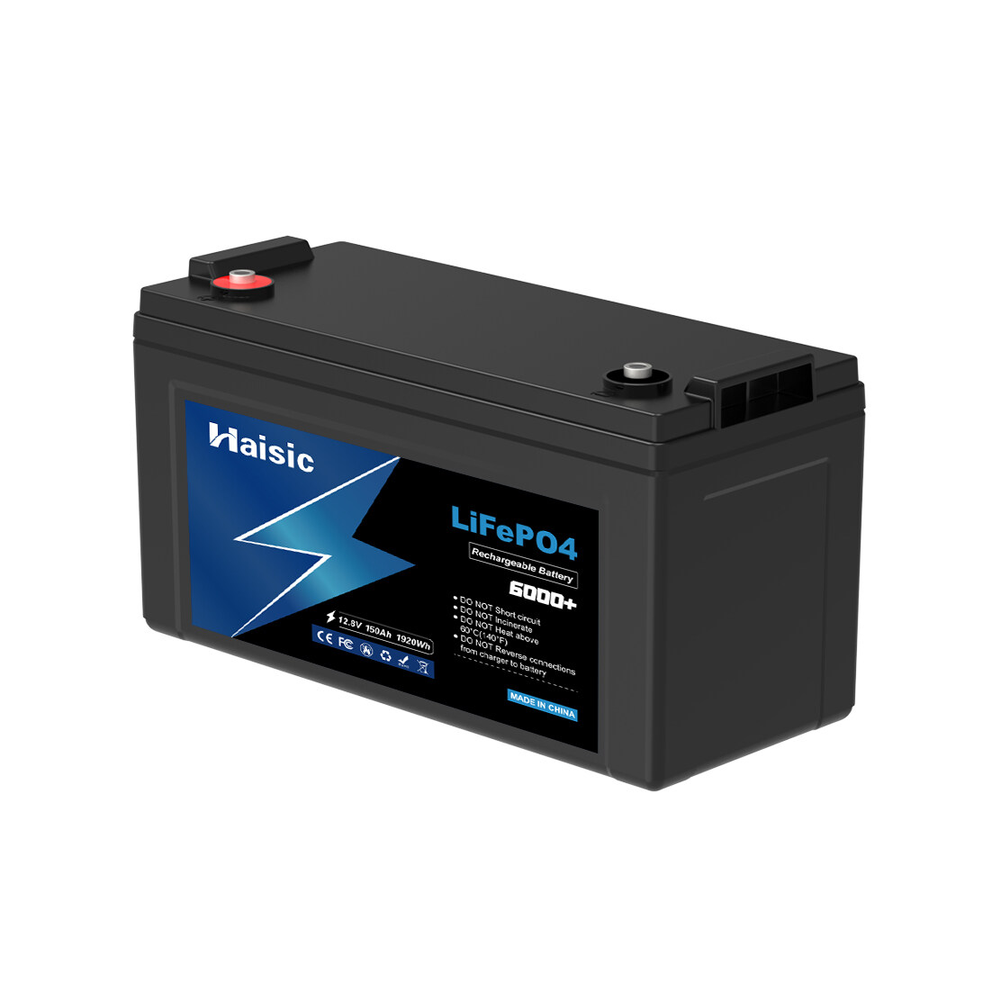 12V 100Ah LiFePO4 Battery Wholesale OEM