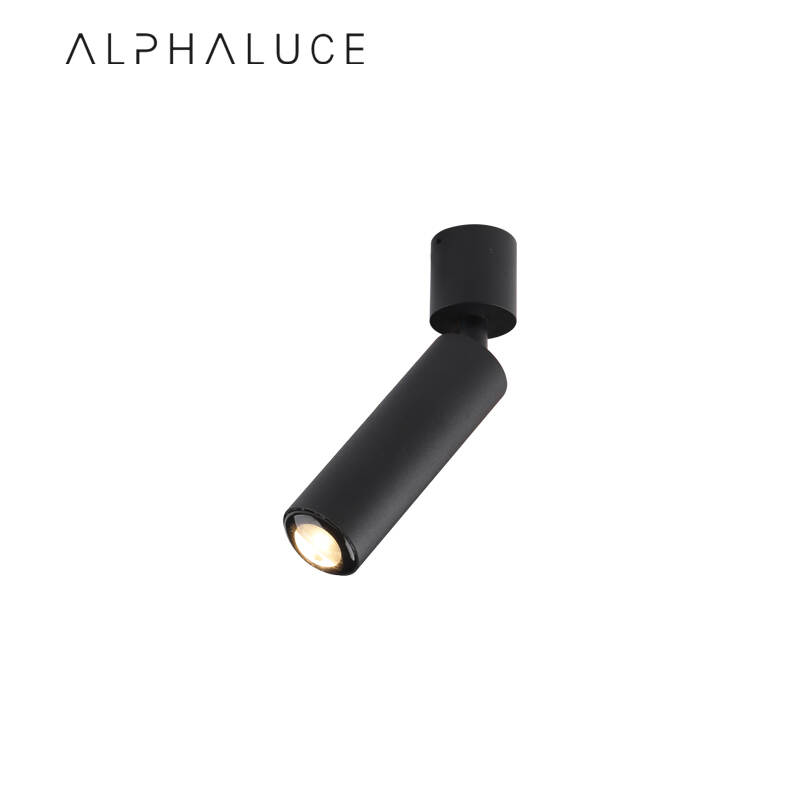 ALCH0203-tb.jpg