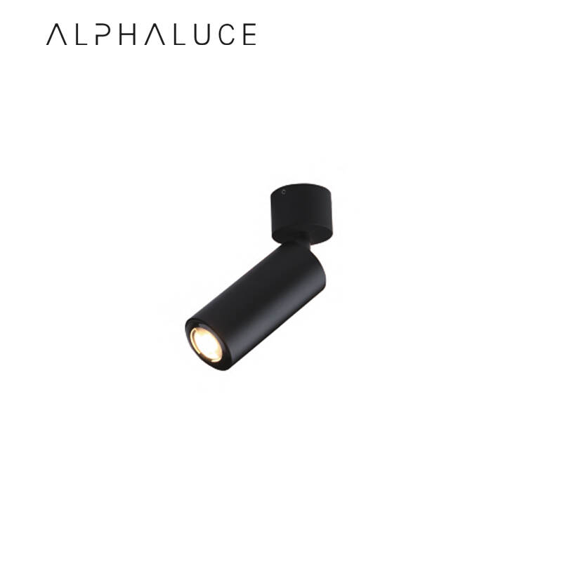 ALCH0204.jpg
