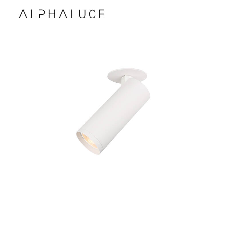 ALDL1137.jpg