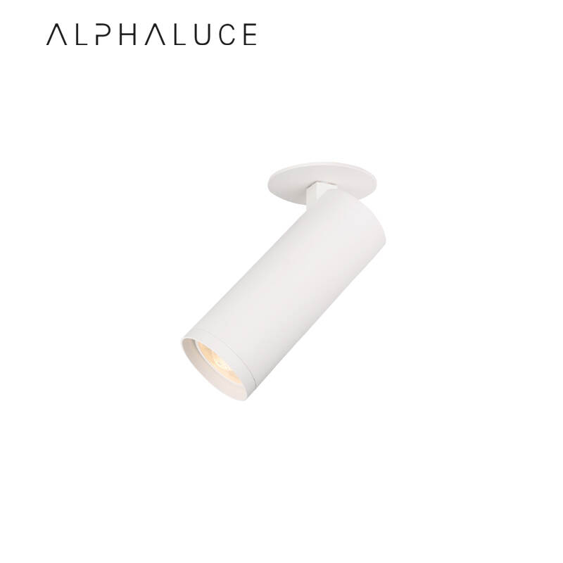 ALDL1139.jpg