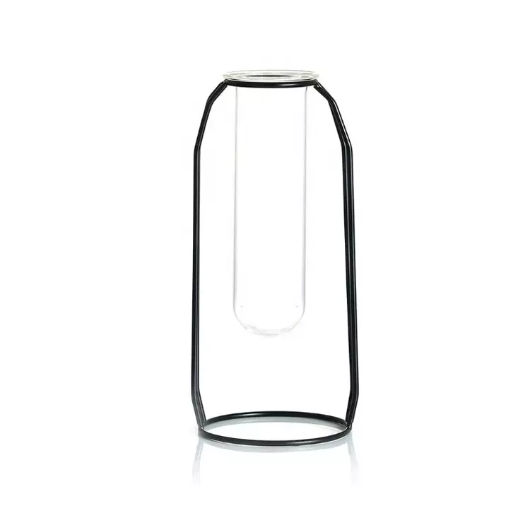 Simple Glass Vases with Metal Frame Cylinder Flower Pots Planter