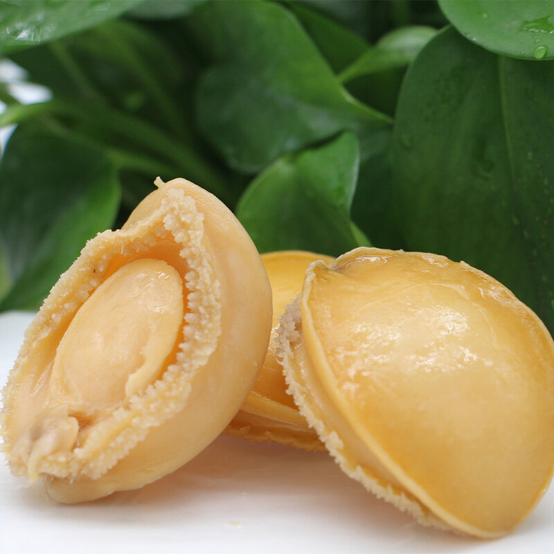 golden abalone, Steamed Abalone Meat