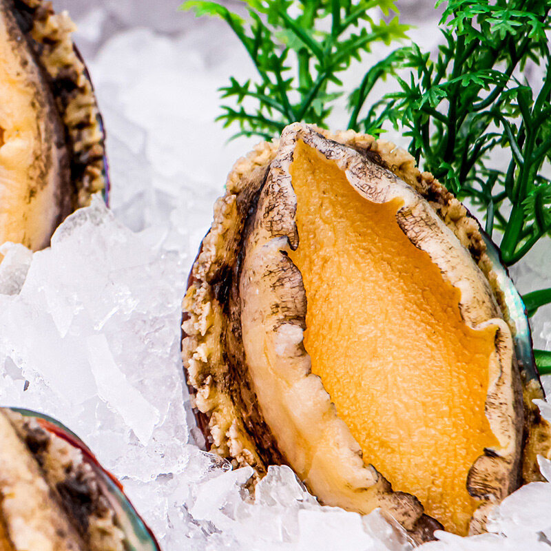 Fresh Frozen Abalone With Shell