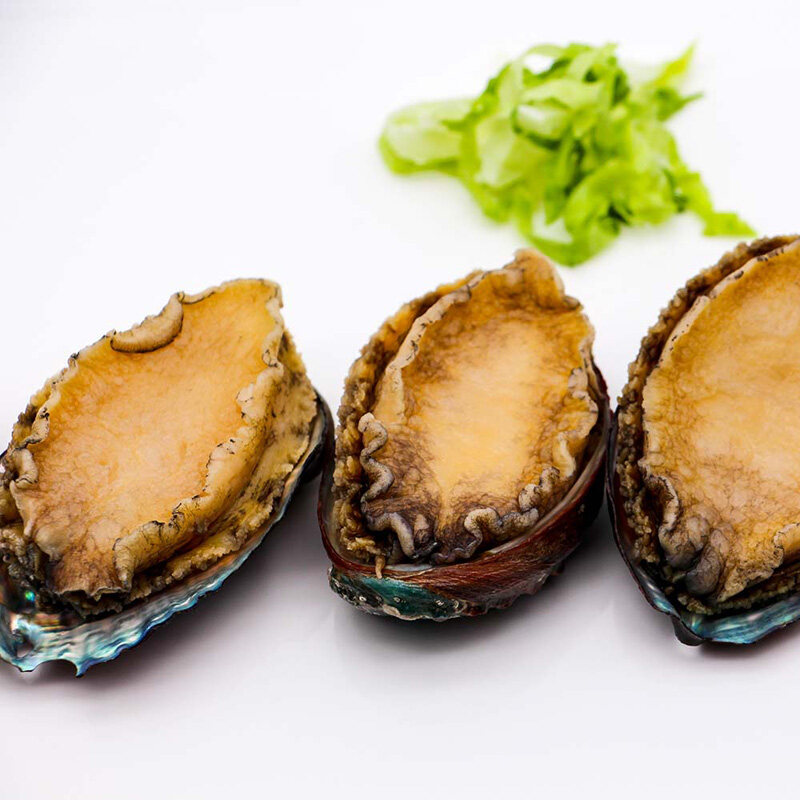 Frozen Blanched Abalone