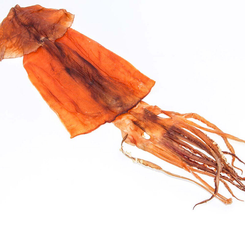 whole dried squid for sale