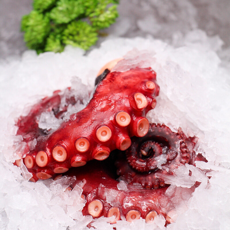 Frozen Octopus Tentacles