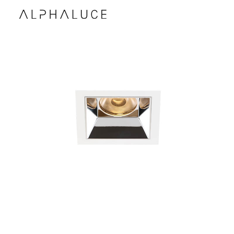 ALDL0065.jpg