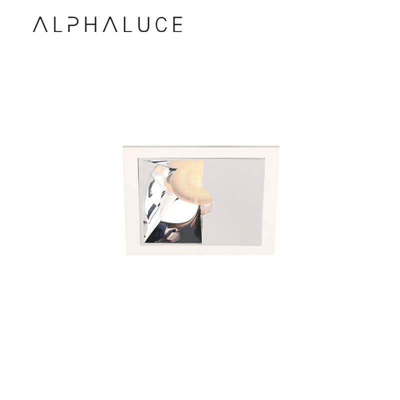 ALDL1263.jpg