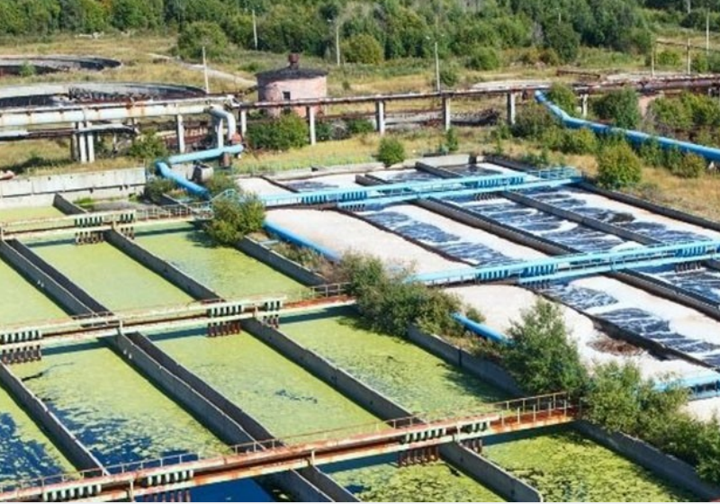 Saponin Processing Wastewater