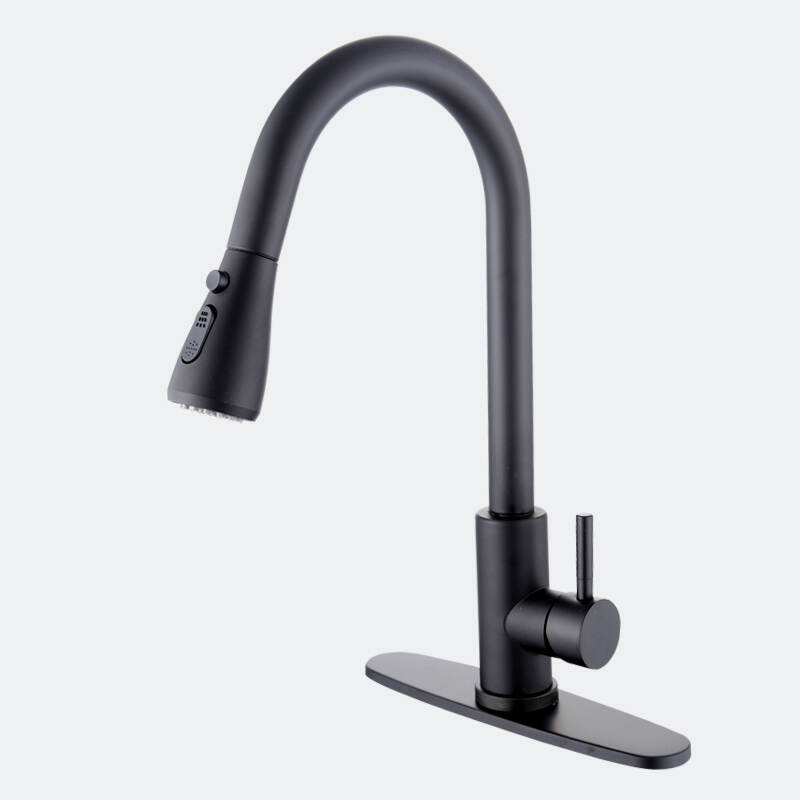 Kitchen Pull Out Faucet 360 Rotation Pull Out Sink Faucets ro faucet