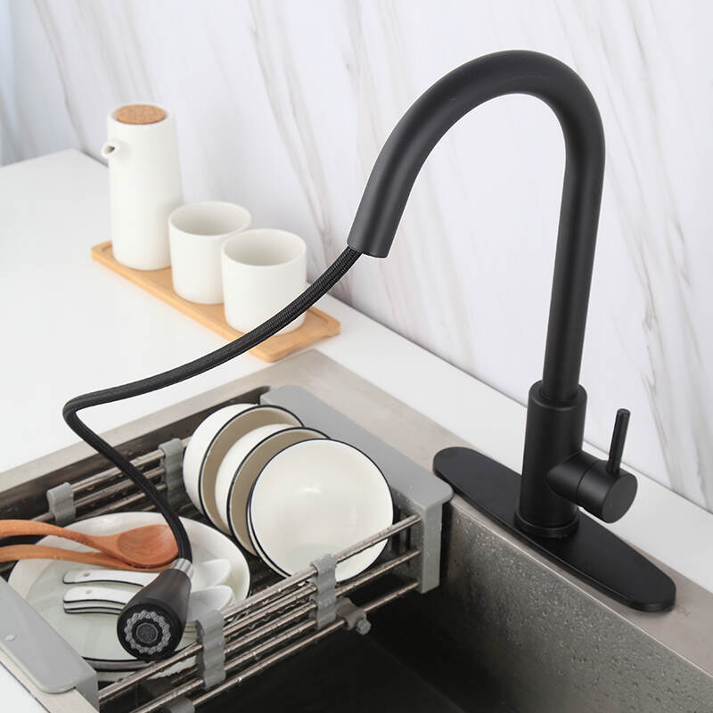 Kitchen Pull Out Faucet 360 Rotation Pull Out Sink Faucets ro faucet