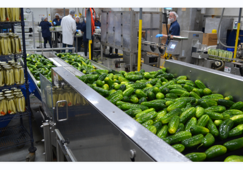 Pickle Processing Wastewater