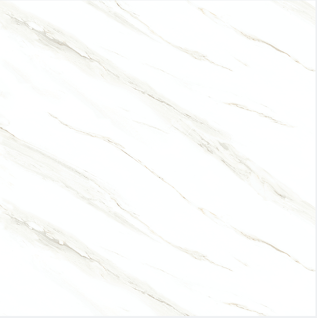 CK6Y019PA.png