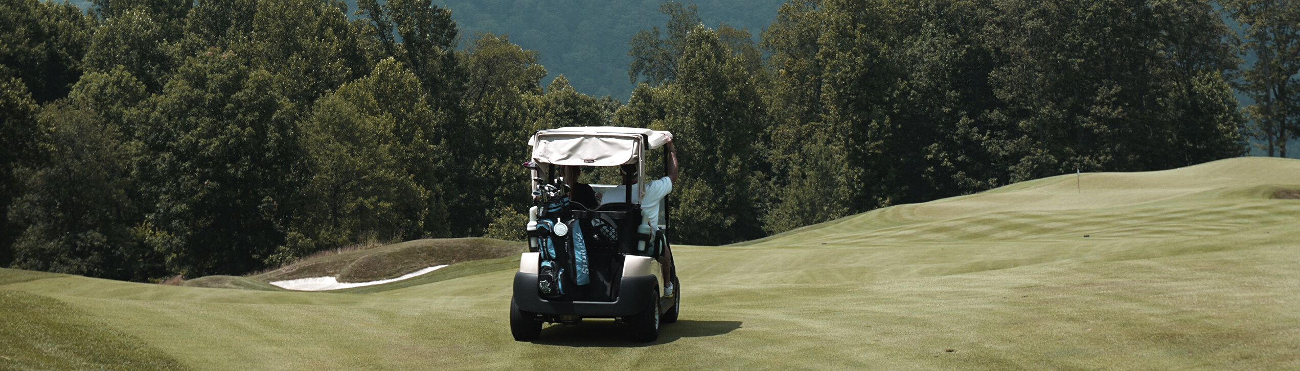 Luxury Off-Road Golf Carts for Sale: Unleashing Adventure in Style