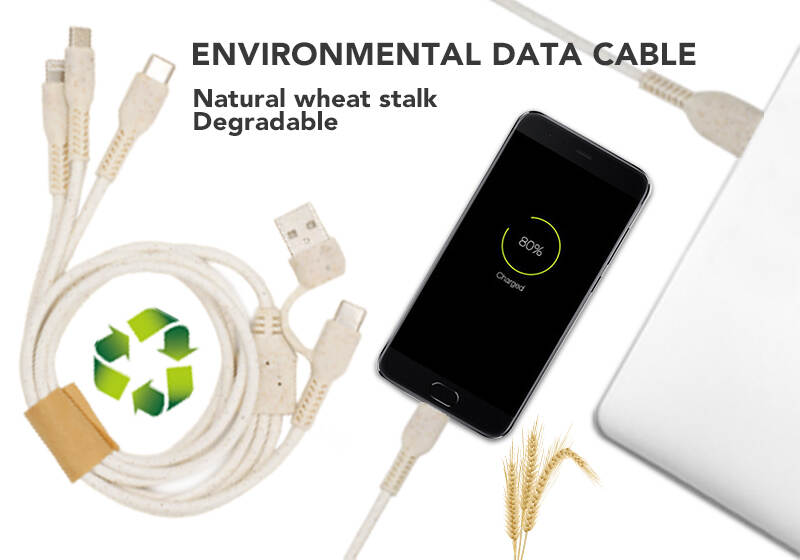 A Greener Future: The McGee Rod Degradable Environmental Protection Data Cable