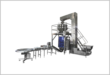 Vertical Packing Machine System