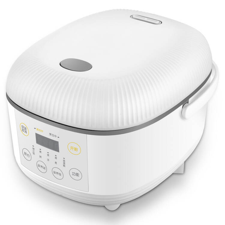 rice cooker