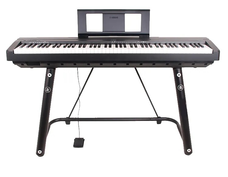 Elegant Choise Piano Keyboard for Kids 61 Key Electronic Organ with  Adjustable Stand and Microphone, Black 
