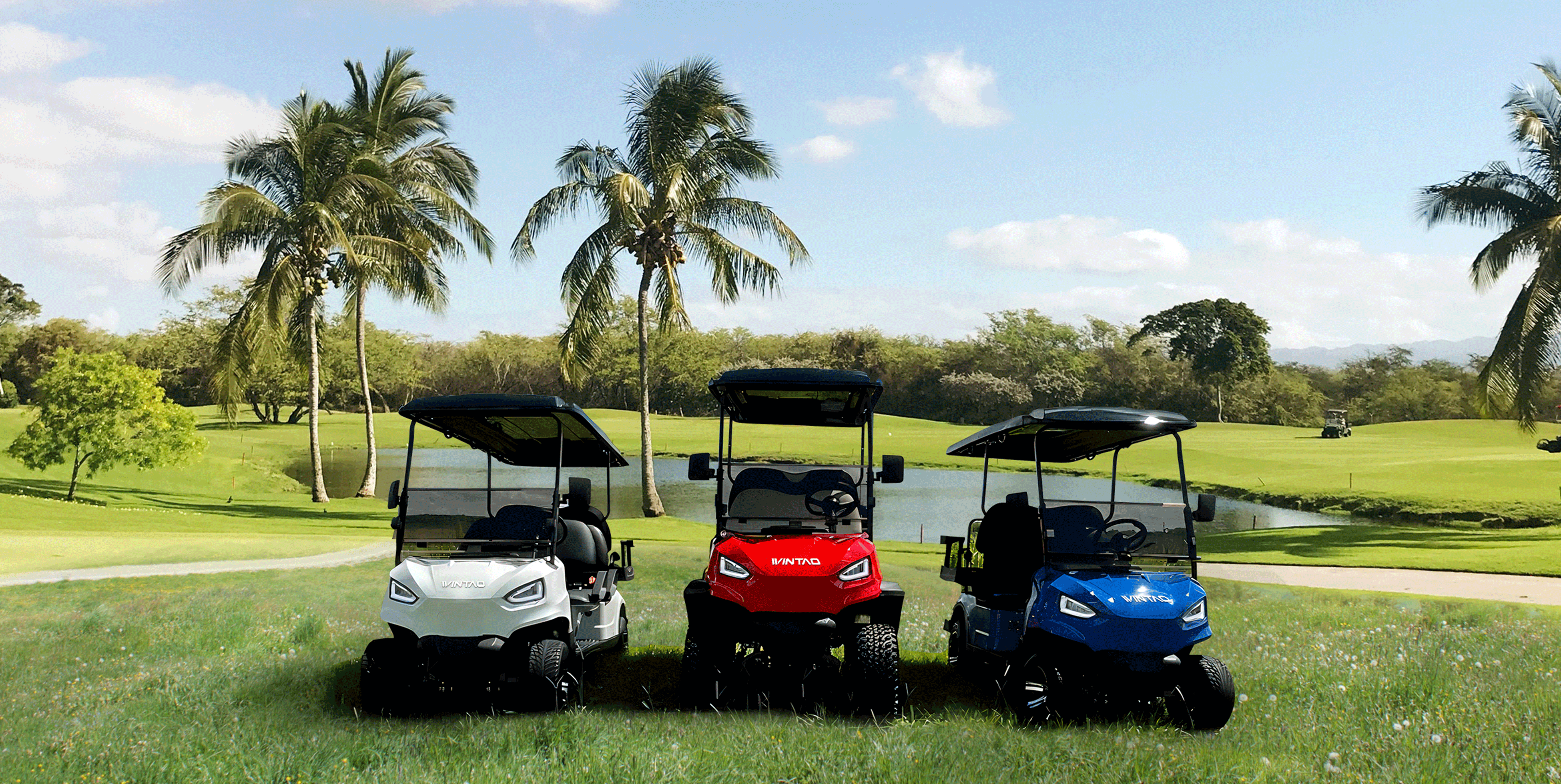 Elevate Your Golfing Experience with Customized Golf Carts