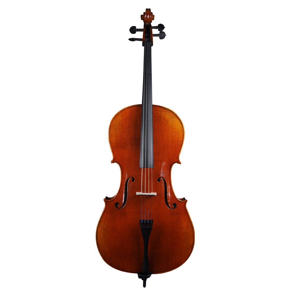 HC519 Cello - Featuring Oil-based Clear Varnish Finish