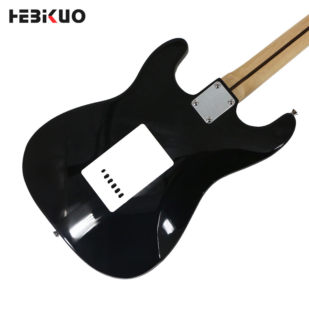 6-string electric bass guitar,acoustic bass guitar,6-string electric guitar bass guitar,best beginner bass guitar