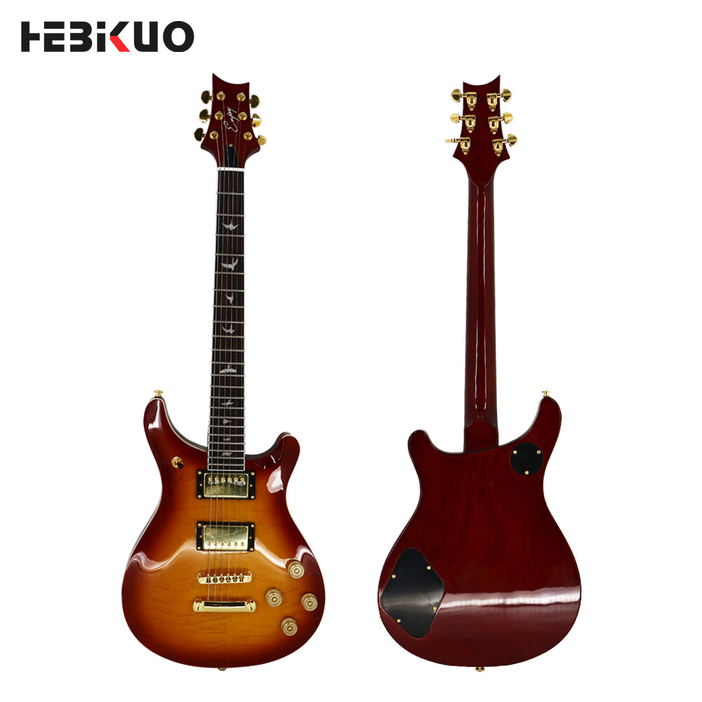 Guitarra elétrica para uma guitarra elétrica para iniciantes, 6 cordas, guitarra elétrica personalizada