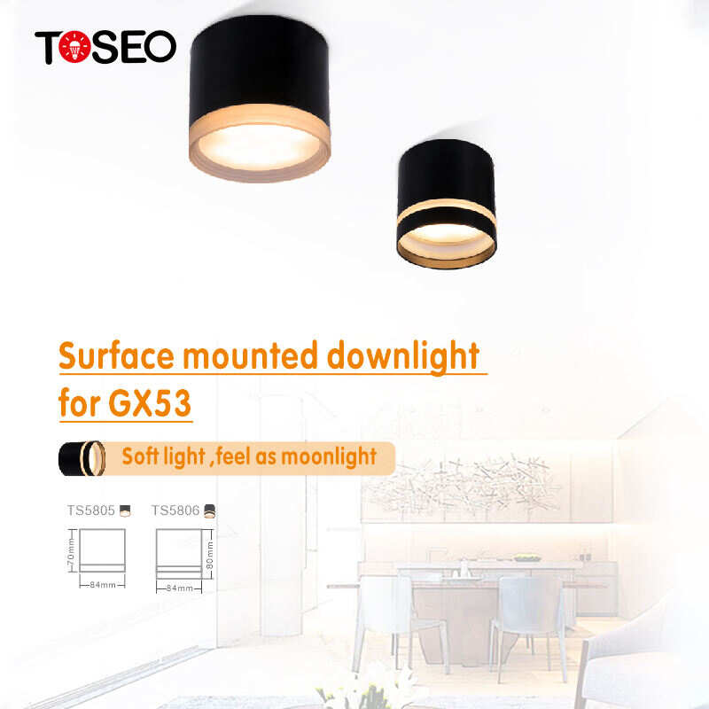 Pure Aluminium Ceiling Lighting Fixture Ip65 Waterproof GX53 Surface Mounted Downlight