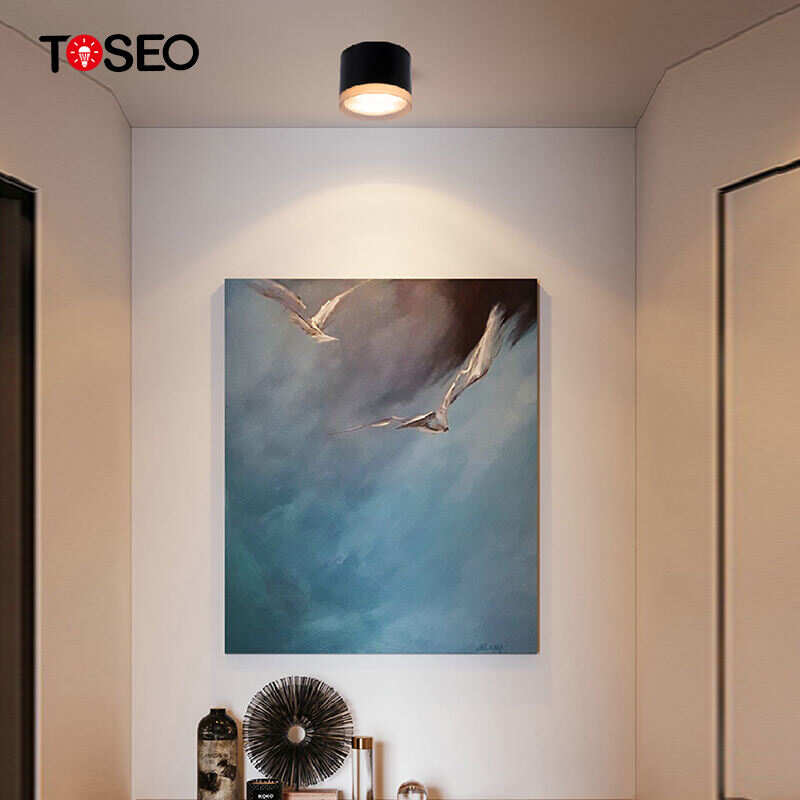 Pure Aluminium Ceiling Lighting Fixture Ip65 Waterproof GX53 Surface Mounted Downlight