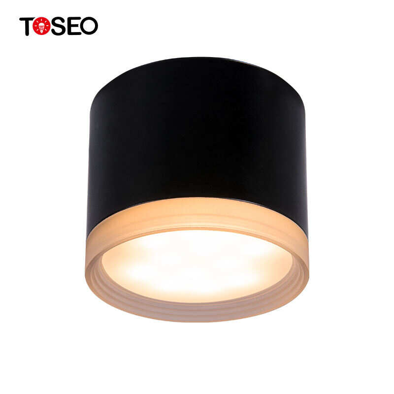 Pure Aluminium Ceiling Lighting Fixture Ip65 Waterproof GX53 Surface Mounted Downlight
