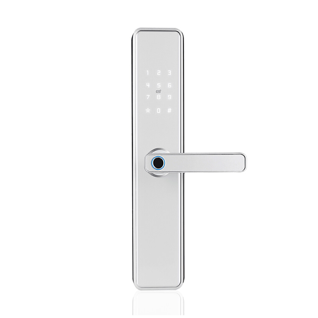 Electric Tlock Alexa Gate WiFi Home Intelligent Lock