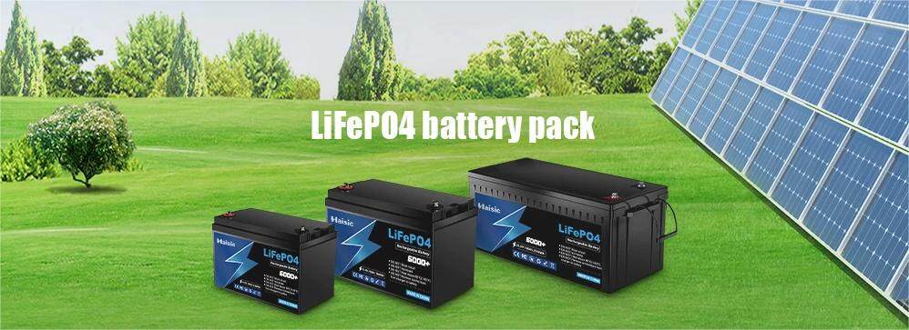 Customized Lithium Iron (LiFePO4) Batteries: Powering the Future