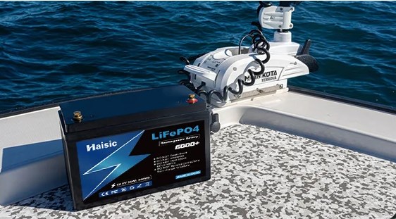 OEM Lifepo4 Lithium Ion Battery Customized Wholesale