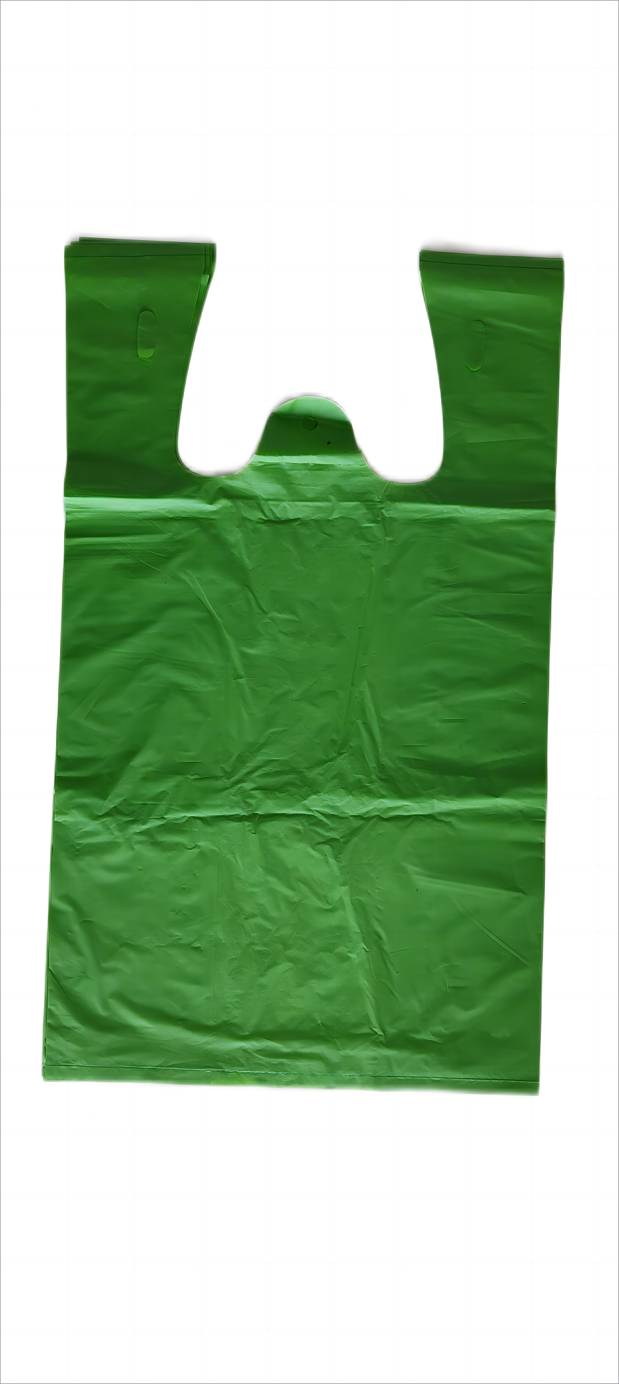 Biodegradable grocery bags