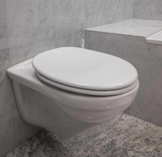 smart toilet seat cover.jpg