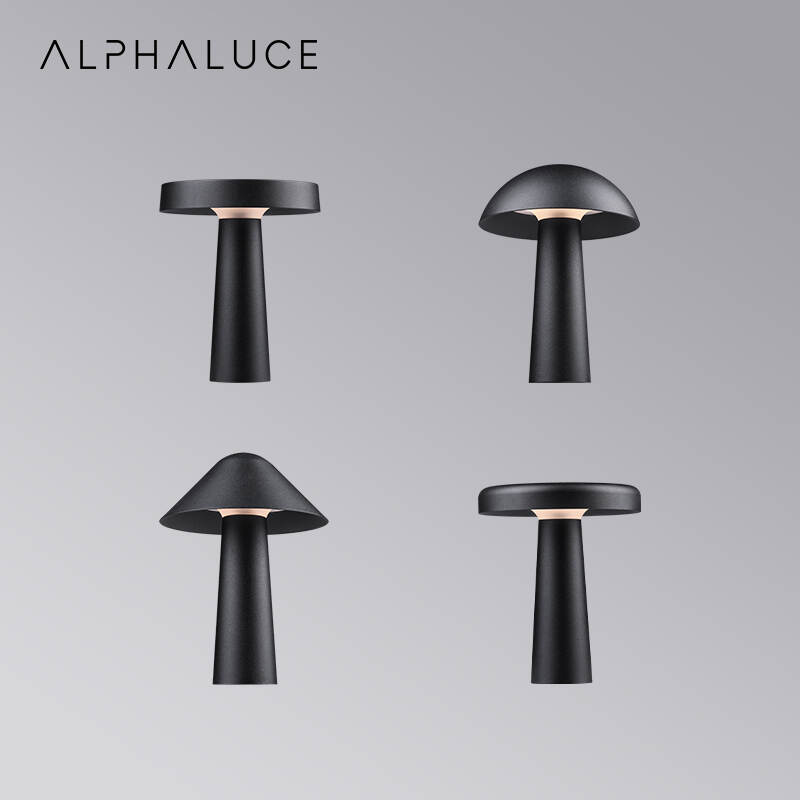 low voltage led garden lights (8).jpg