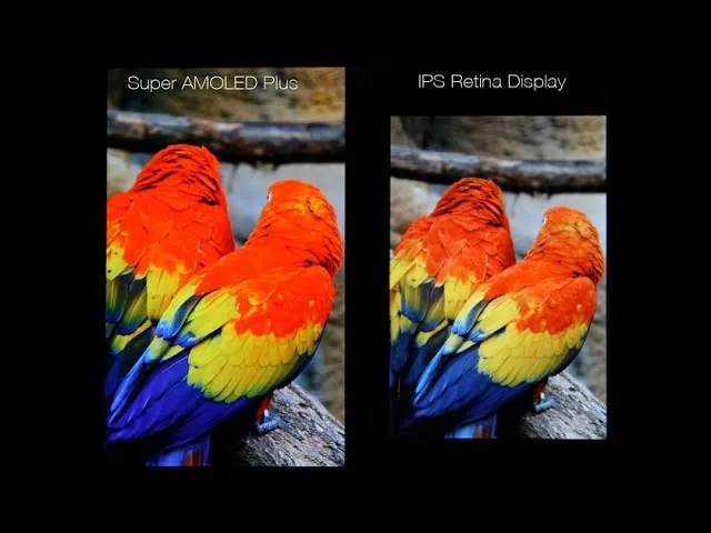 LCD vs. AMOLED: Comparing Two Popular Mobile Phone Screen Display Technologies