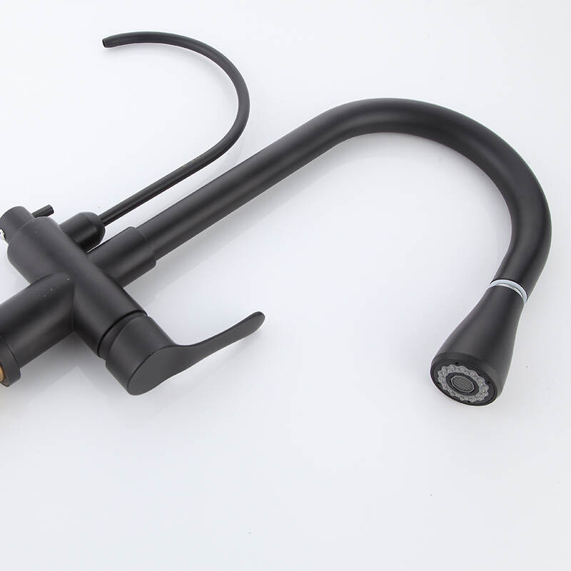 Kitchen Faucet with Water Filter Purifier and Pull Down Spray Function