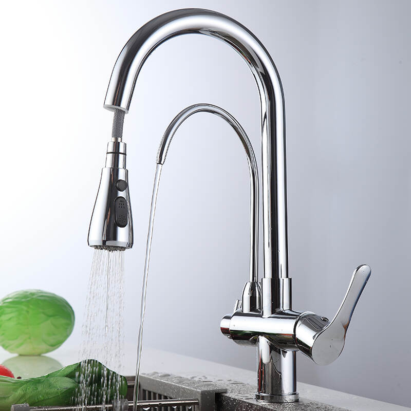 Kitchen Faucet with Water Filter Purifier and Pull Down Spray Function