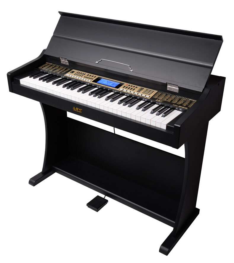 61 key standard force keyboard, LCD display, 345 standard tones/128 world selected rhythms