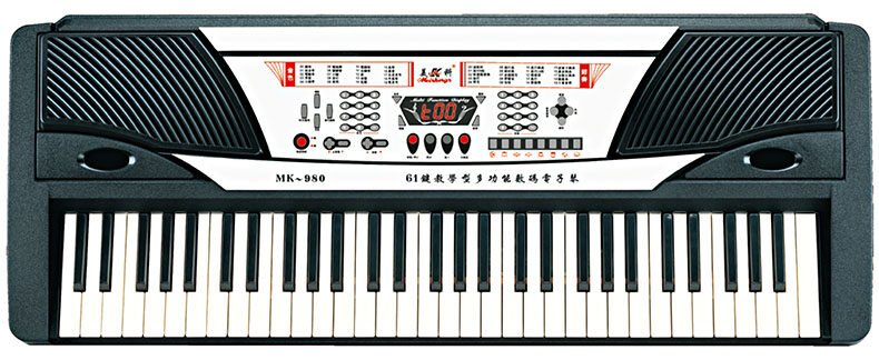 61 key multifunctional teaching electronic organ memory 12 demonstration songs