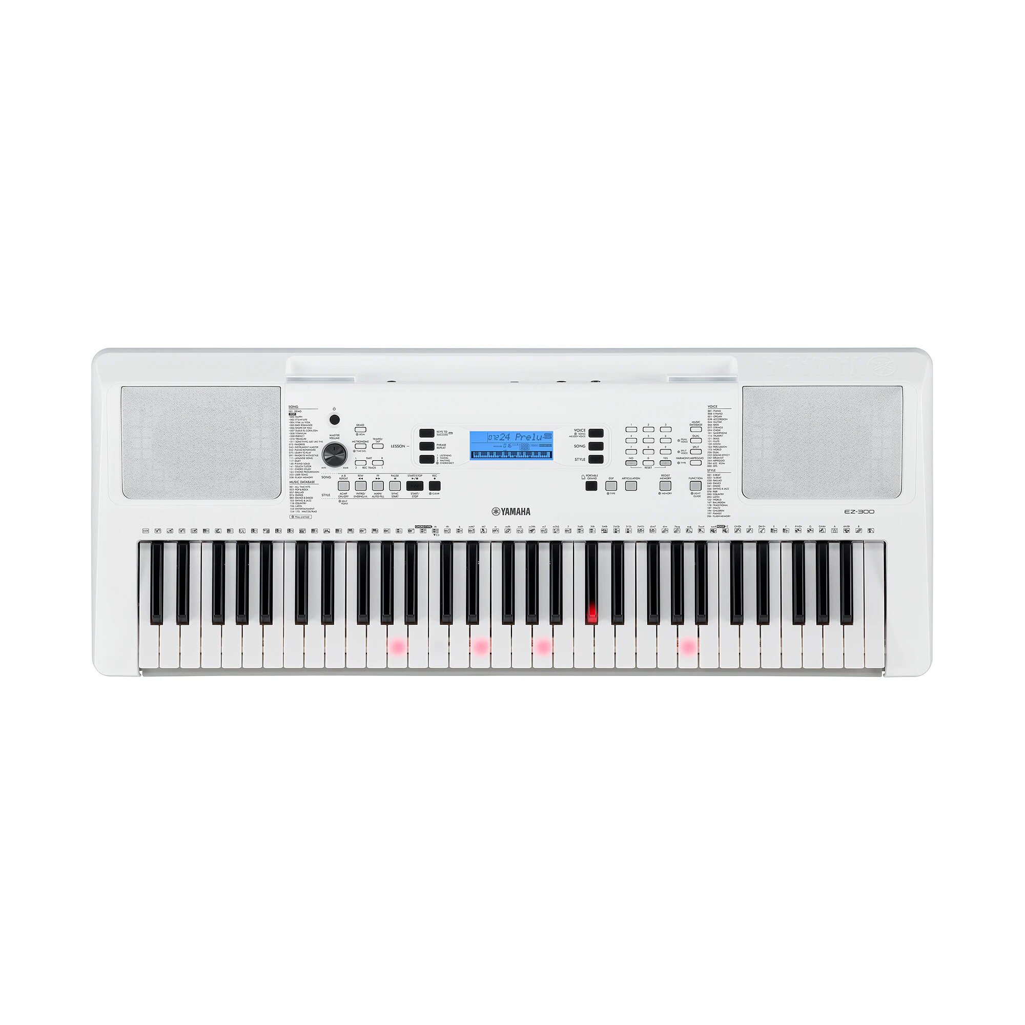 61 key electronic organ, illuminated keys, entry-level portable electronic organ