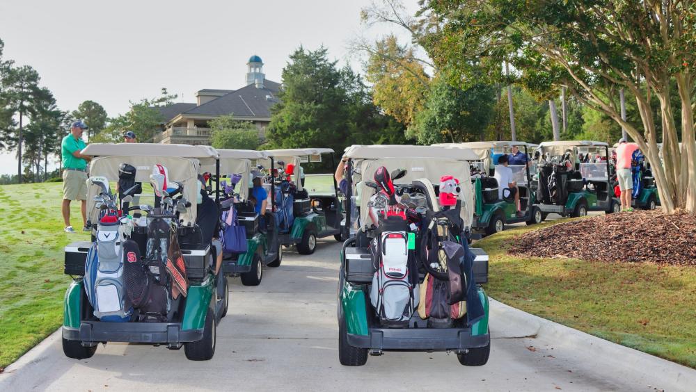various golf carts.jpg