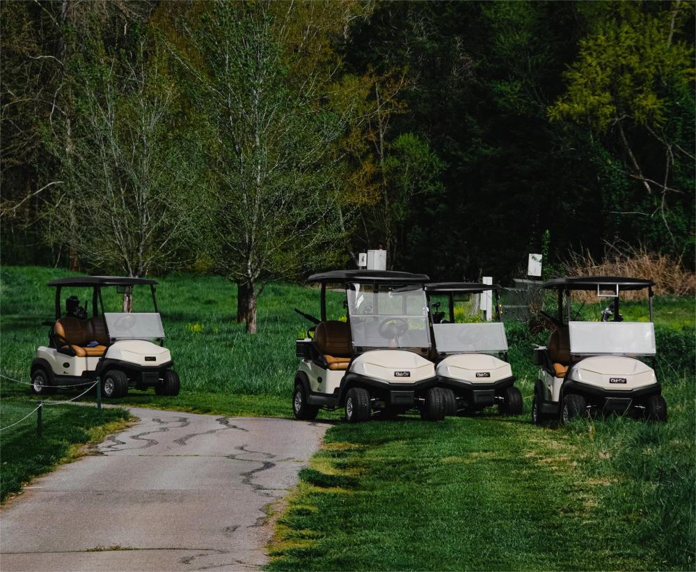 electric golf carts.jpg