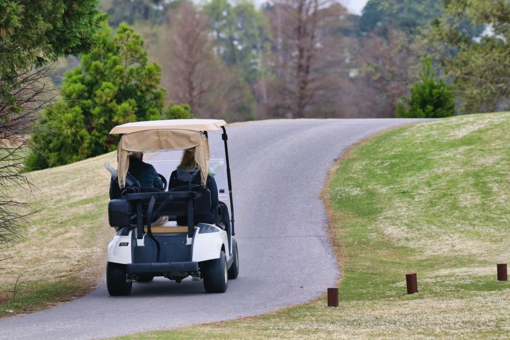 Wholesale Electric Golf Carts: A Convenient and Eco-Friendly Solution for All Golfers