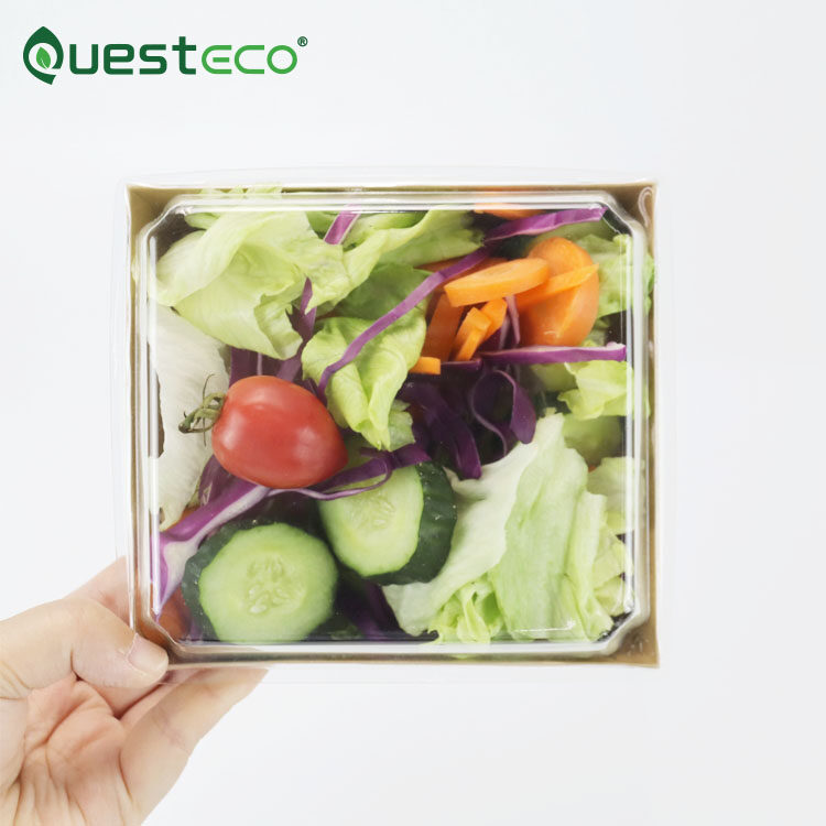 Questeco Brown Square Kraft Paper Cheesecake Box 12x11x6.5cm Takeaway Salad Box Breakfast Sushi food Tray with Plastic Lid