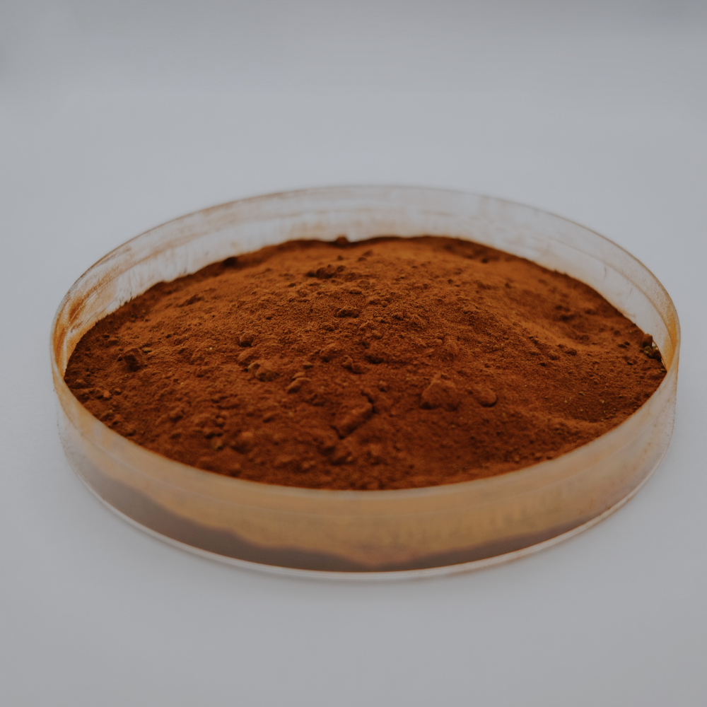Premium Dunaliella Salina Powder with High BetaCarotene Antioxidant