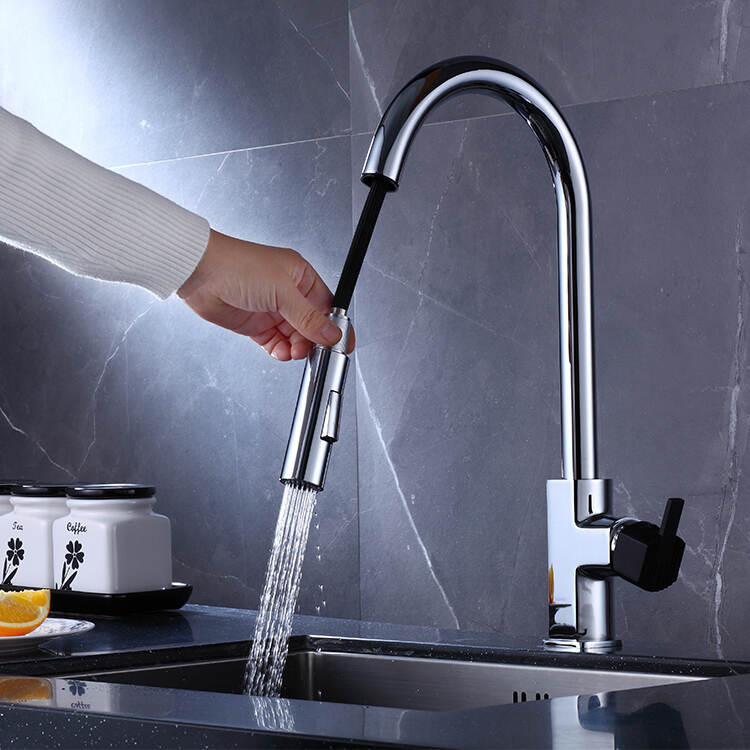 Spring Pull Out Pull Down Sprayer Kitchen Faucet For Sink