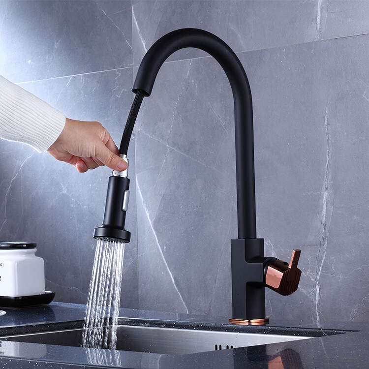 New Modern Style Black Kitchen Mixer Sink Faucet With Pull Down Sprayer