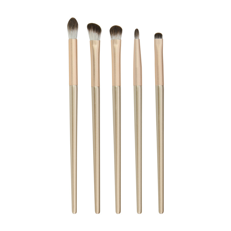 5 Eye Shadow Brushes